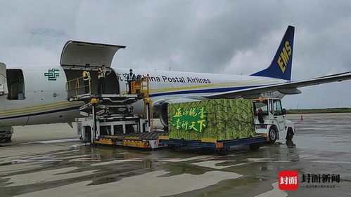 三峡库区首架农产品货运专机起航 巫山脆李“打飞的”直抵南京